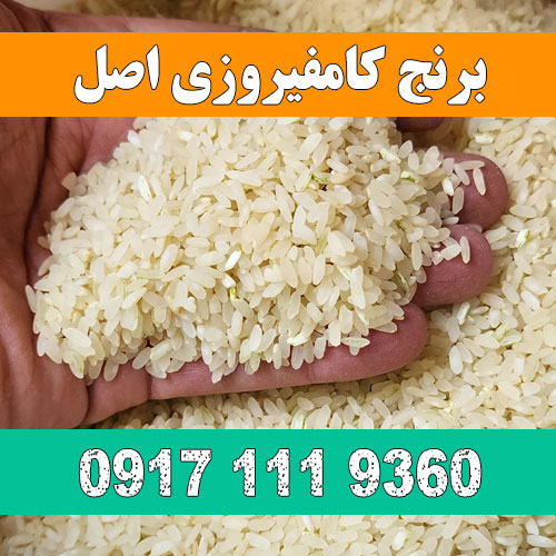 فروش برنج کامفیروزی اصل 09171119360 در شیراز بصورت عمده و کیلویی